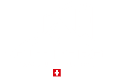 Volt Forge — Conçu en Suisse